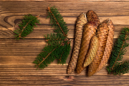 christmas background with fir branches and conesの写真素材