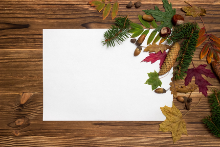 christmas background with fir branches and conesの写真素材