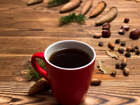 christmas background with fir branches and conesの写真素材