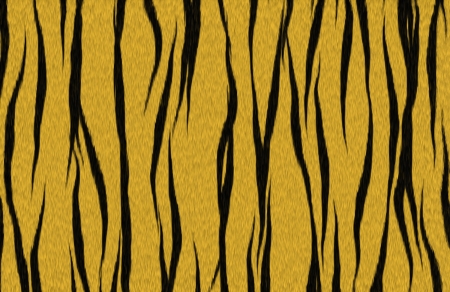 Tiger furの写真素材