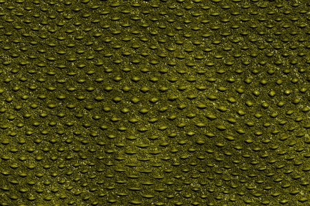 Reptile skin textureの写真素材