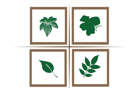 set of leafsの写真素材