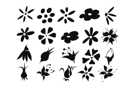 Set of flowersの写真素材