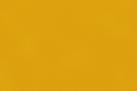 Gold fish skinの写真素材