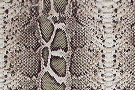 Snake Skin