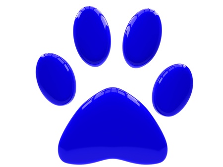 Blue paw print isolated on white background.の写真素材