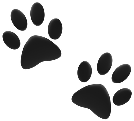 Paw Printsの写真素材