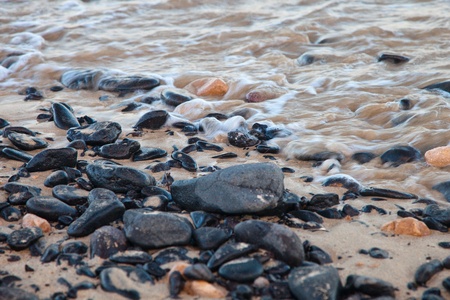 Fuerteventura beachの写真素材