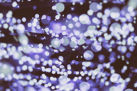 Festive Christmas background. Elegant abstract background with bokeh defocused lights and starsの写真素材