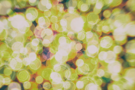Festive Christmas background. Elegant abstract background with bokeh defocused lights and starsの写真素材