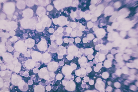 Festive Christmas background. Elegant abstract background with bokeh defocused lights and starsの写真素材