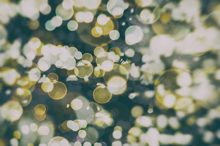 Magic Background With Color Festive background with natural bokeh and bright golden lights. Vintage Magic backgroundの写真素材