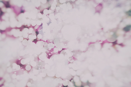 Magic Background With Color Festive background with natural bokeh and bright golden lights. Vintage Magic backgroundの写真素材