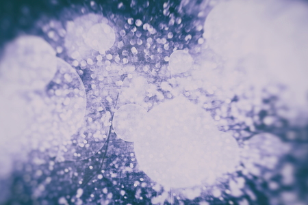Abstract Festive background. Glitter vintage lights background with lights defocused.の写真素材