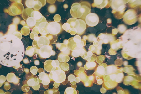 colorful crowd on concert,disco nightの写真素材