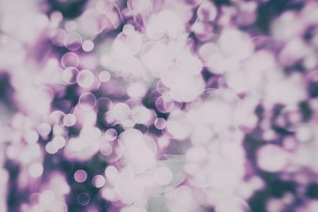 colorful crowd on concert,disco nightの写真素材