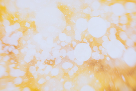 colorful crowd on concert,disco nightの写真素材