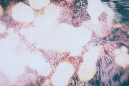 colorful crowd on concert,disco nightの写真素材