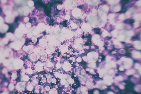 Abstract Festive background. Glitter vintage lights background with lights defocused. Christmas and...