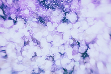 Christmas wallpaper decorations concept.Sparkle circle litの写真素材