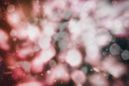 Blurred bokeh light background, Christmas and New Year holidays backgroundの写真素材