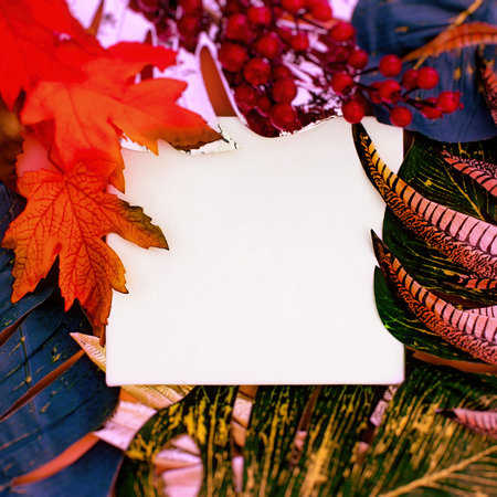 Spring flower background with paper card note. Flat lay. Nature concept. Nature Trendy Decorative Design.の写真素材