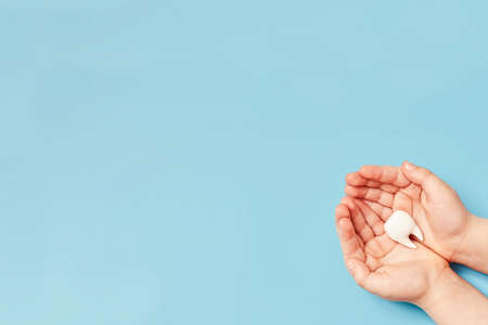 Hands holding a tooth, healthcare, love, family dentist, world day of teeth, world day of health, wellbeing,の写真素材