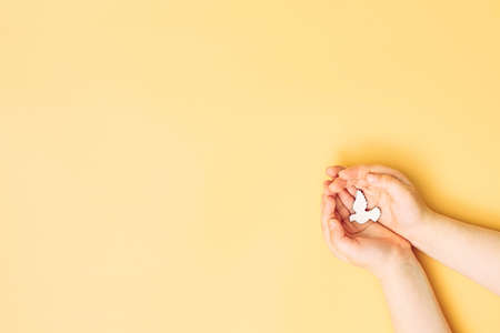 Ð¡hild hands holding white dove bird on yellow background, international day of peace or world peace day concept.の写真素材