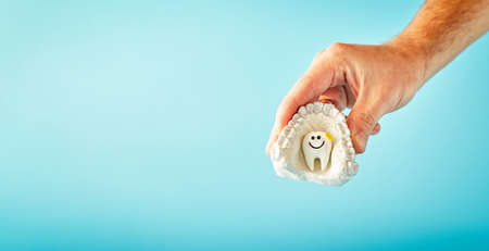 A man is holding a tooth on a blue background. Visit to the dentist, stomatology advertising concept, dental healthの写真素材