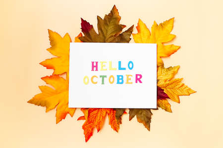 Great season texture with fall mood. Nature september and october background with hand lettering Hello October.の写真素材