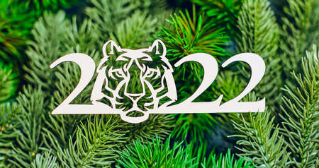 New Year of the Tiger 2022, Merry Christmas and Happy New Year.の写真素材