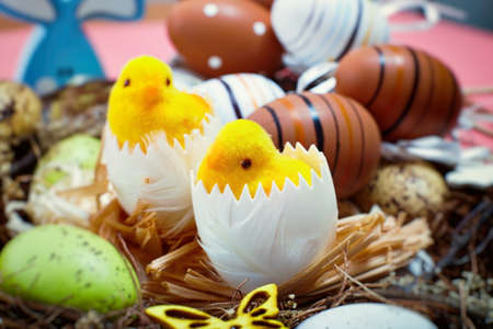 Chicks on a blue wooden background. The minimal concept.の写真素材