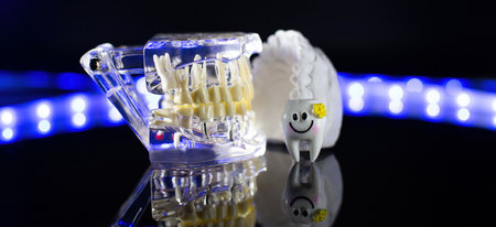 Dental jaw model over black background. Transparent invisible dental aligners or braces aplicable...