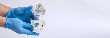 Dental technician holding a dental jaw model on a white background.