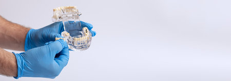 In hand dentists dental teeth teaching model showing each tooth, gum, root, implant, decay