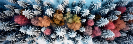 top view winter-themed scene with, featuring a snow-covered woodland. Generative AIの素材