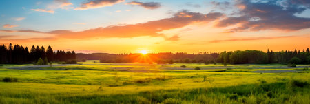 Meadow Sunrise scenic panorama with a sun-kissed meadow, showing the beauty of morning light. Generative AIの素材