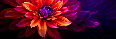flower bloom with a gradient of vibrant purple, red, yellow, and orange tones against a dark . Generative AIの素材