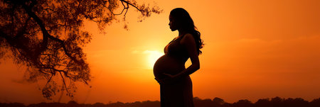 Silhouette of a pregnant woman on an evening backgroundの素材