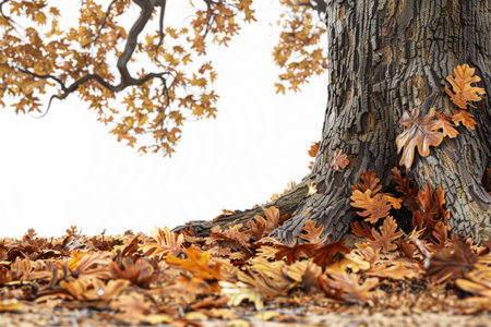 visualization of an oak forest floor in autumn, rich textures of fallen leaves and tree trunks. Generative AIの素材