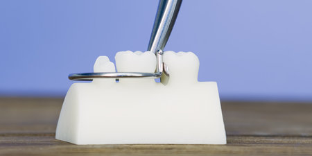 Close-up of a dental training model with a metal orthodontic band applied using dental pliers,...