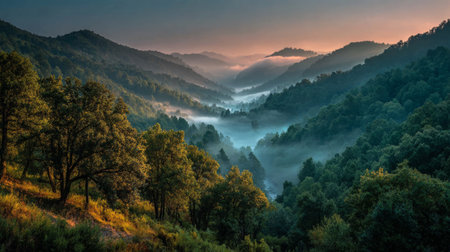 Misty mountain valley with sunrise over forest .Generative AIの素材
