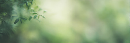 blurred forest with gentle light filtering through green leaves. Generative AIの素材