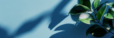 Tropical Leaves with Shadows on Colorful Backgrounds. Generativeの素材