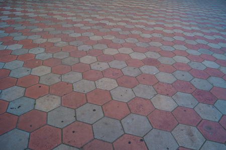 Path lined with burgundy tiles for backgroundの写真素材