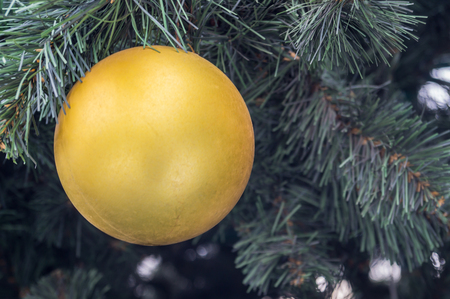 Christmas toy on the Christmas tree closeupの写真素材
