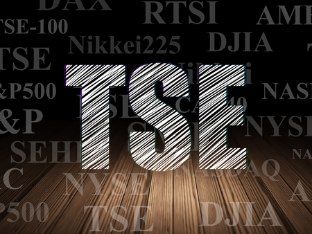 Stock market indexes concept: Glowing text TSE in grunge dark room with Wooden Floor, black background with  Tag Cloudの写真素材