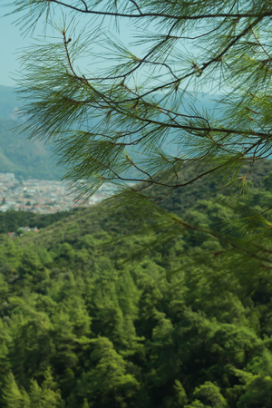 View of mountain forest landscapeの写真素材