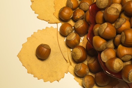 Hazelnuts in a bowl with leaves. autumn backgroundの写真素材