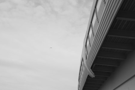 Architecture lines under the bridge. Speedway black and white